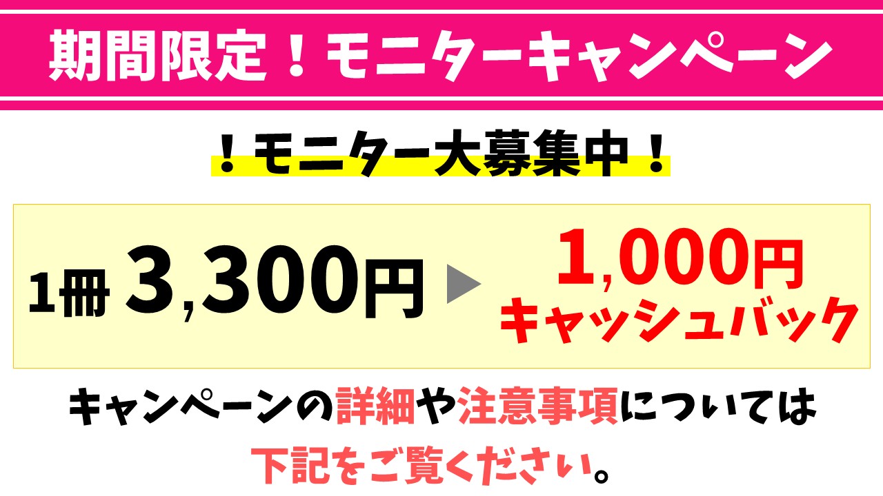 パレハオリジナルテキスト解説