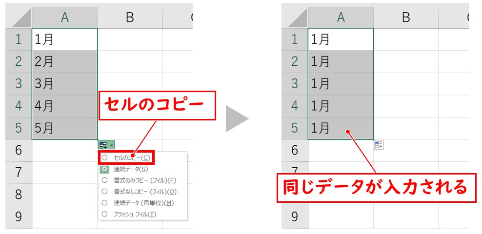 オートフィルオプション