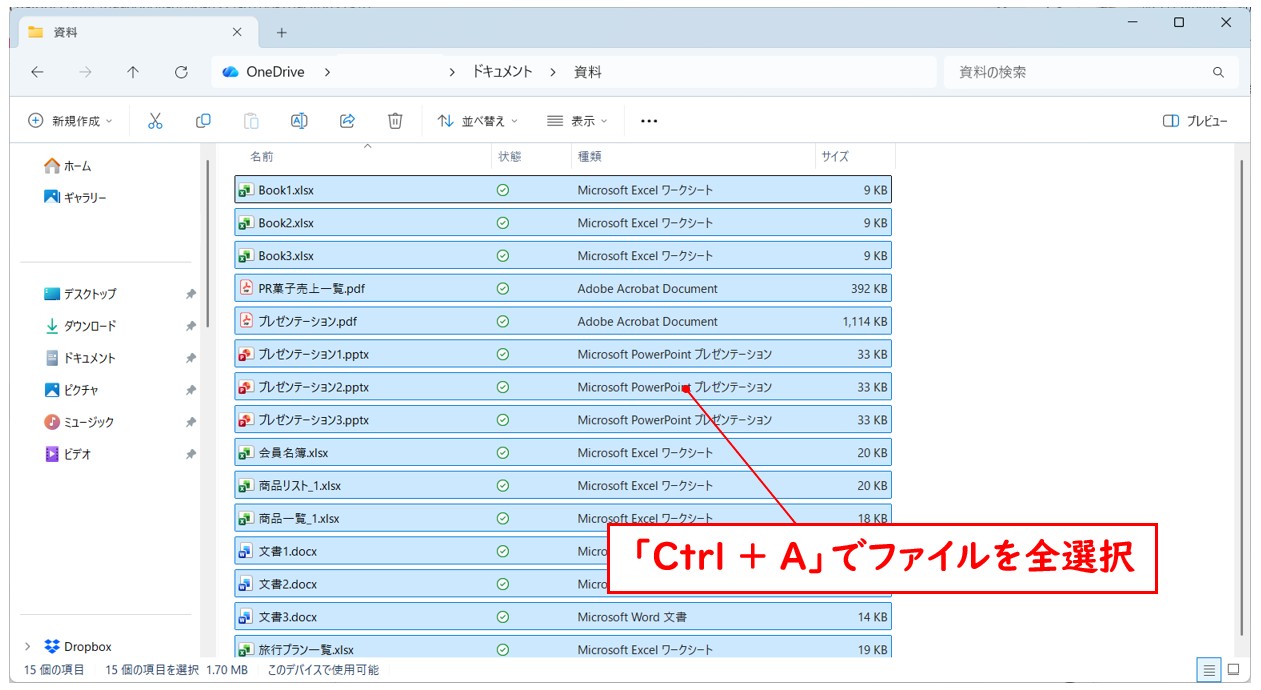 「Ctrl + A」で全選択、不要ファイルは「Ctrl」キーで除外